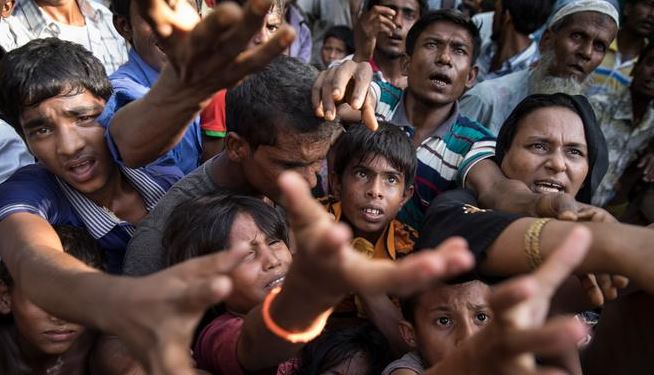 rohingya