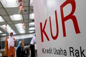 Bank Mandiri Salurkan KUR Rp33,68 Triliun hingga November 2021