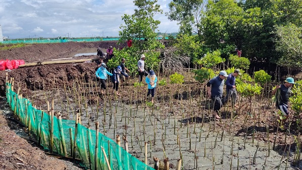 DKP Sulsel Tanam 38 Ribu Batang Mangrove di Bone