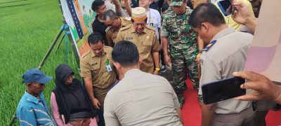 Digelar Serentak, Pemkab Soppeng Patok 2.000 Batas Tanah